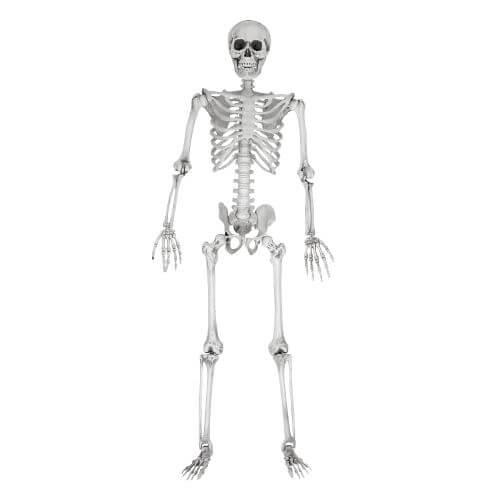 Az életnagyságú csontváz Halloween bulik ötletes kiegészítője