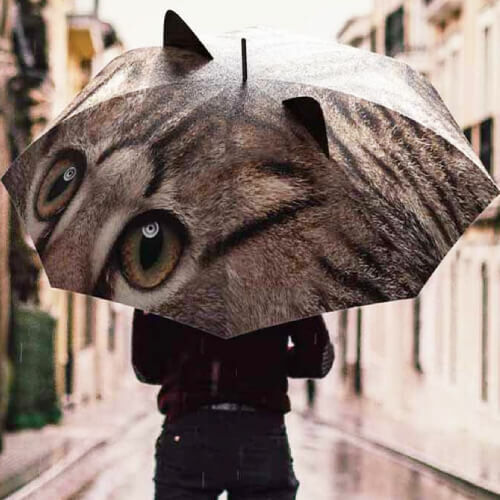 Macskás esernyő 3D kialakítással
